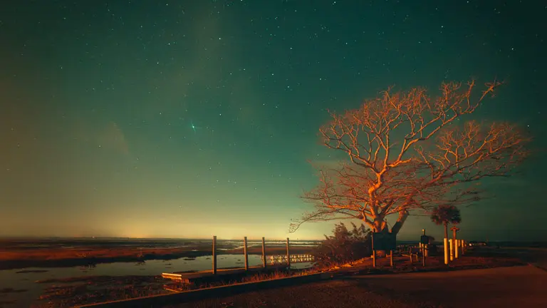 Florida's night rural landscape