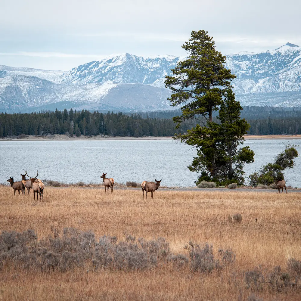 National park screenshot